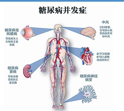 子丑寅某